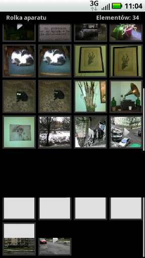 snap20110120 110425