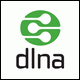 dlna logo naglowek