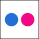 flickr logo naglowek