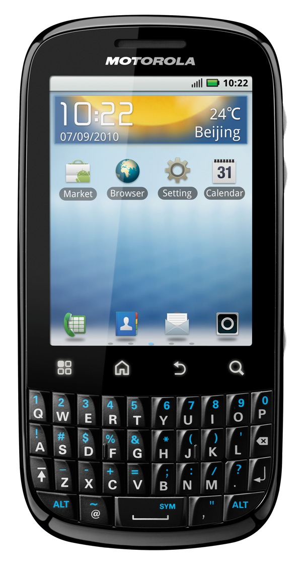 dominoq black front gingerbread