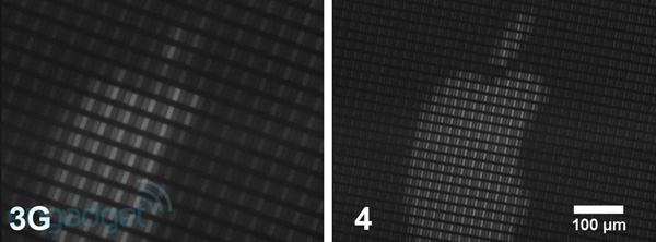 iphone-microscopy-01jpg