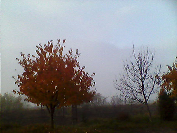 kp-ck7022-img 20111101 080257
